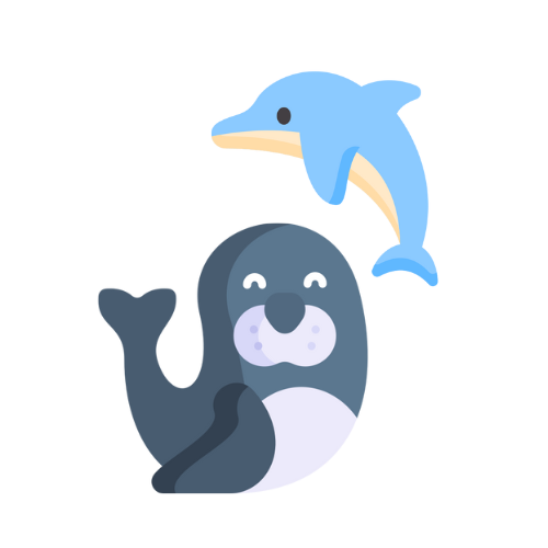 Dolphin & seal show