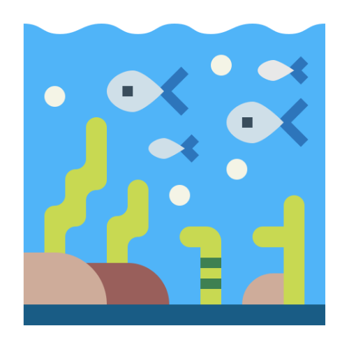 Underwater Zoo