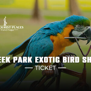 Creek Park Exotic Bird Show Ticket | Bird Show Dubai