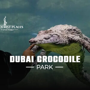 Dubai Crocodile Park | Book Dubai Crocodile Park tickets