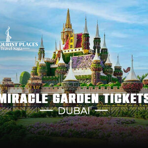 Dubai Miracle Garden | Book Dubai Miracle Garden Tickets