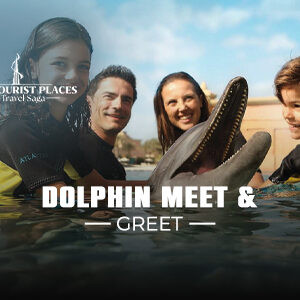 Dolphin meet and greet | Dolphin Meet and Greet Atlantis Dubai