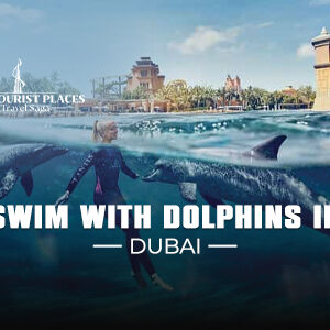 Swim with Dolphins In Dubai | Atlantis Swim with Dolphins