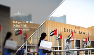 Things to do in Dubai Mall | Dubai Mall attractions blog banner by Dubai Tourist Places